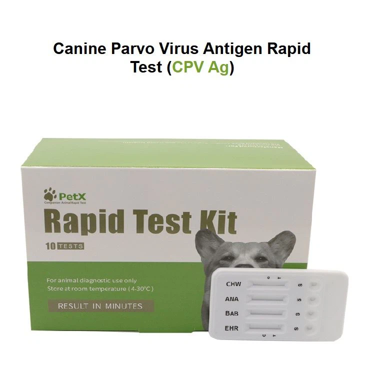 اختبار CPV Ag